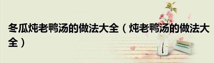 冬瓜燉老鴨湯的做法大全（燉老鴨湯的做法大全）