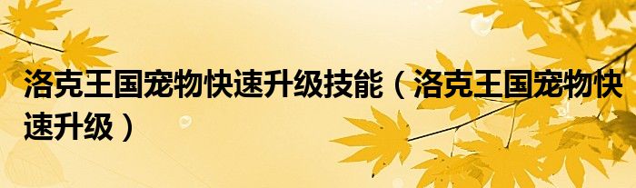 洛克王國寵物快速升級技能（洛克王國寵物快速升級）