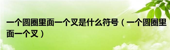 一個(gè)圓圈里面一個(gè)叉是什么符號(hào)（一個(gè)圓圈里面一個(gè)叉）