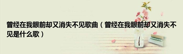 曾經(jīng)在我眼前卻又消失不見歌曲（曾經(jīng)在我眼前卻又消失不見是什么歌）