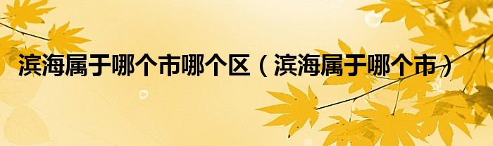 濱海屬于哪個(gè)市哪個(gè)區(qū)（濱海屬于哪個(gè)市）