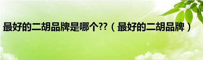 最好的二胡品牌是哪個(gè)??（最好的二胡品牌）