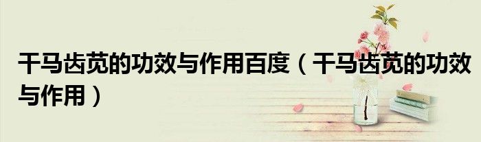 干馬齒莧的功效與作用百度（干馬齒莧的功效與作用）