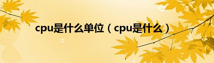 cpu是什么單位（cpu是什么）