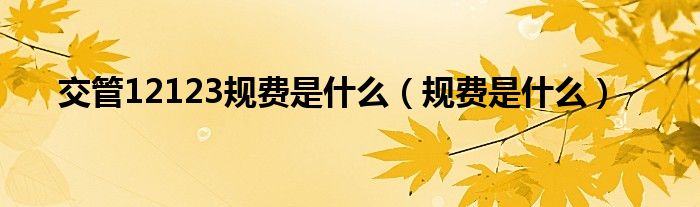 交管12123規(guī)費是什么（規(guī)費是什么）
