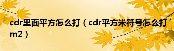 cdr里面平方怎么打（cdr平方米符號怎么打m2）