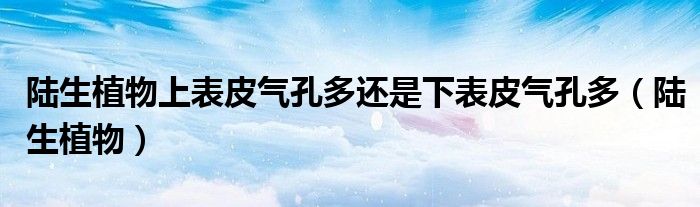陸生植物上表皮氣孔多還是下表皮氣孔多（陸生植物）