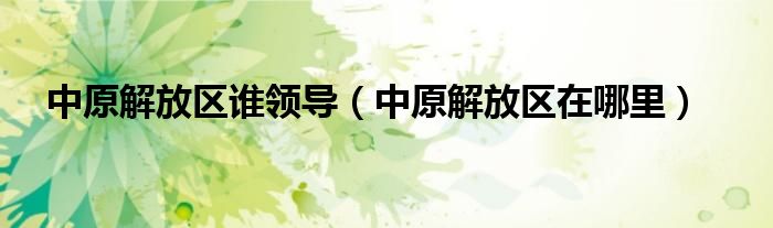 中原解放區(qū)誰領(lǐng)導(dǎo)（中原解放區(qū)在哪里）