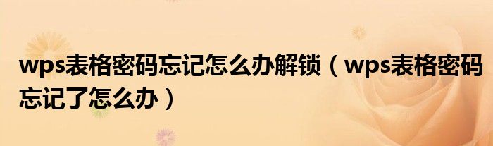 wps表格密碼忘記怎么辦解鎖（wps表格密碼忘記了怎么辦）