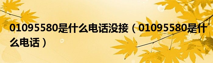 01095580是什么電話沒接（01095580是什么電話）