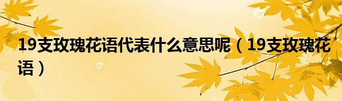 19支玫瑰花語代表什么意思呢（19支玫瑰花語）