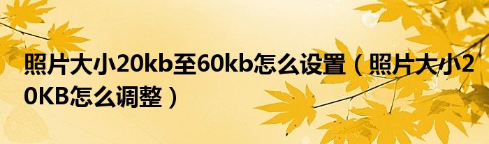 照片大小20kb至60kb怎么設置（照片大小20KB怎么調整）