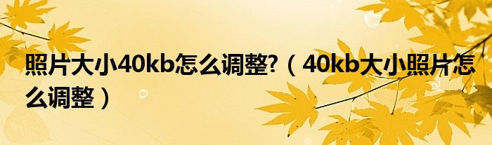 照片大小40kb怎么調整?（40kb大小照片怎么調整）