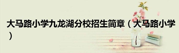 大馬路小學(xué)九龍湖分校招生簡(jiǎn)章（大馬路小學(xué)）