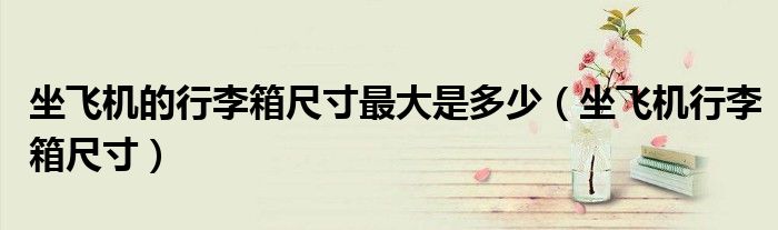 坐飛機(jī)的行李箱尺寸最大是多少（坐飛機(jī)行李箱尺寸）