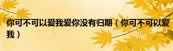 你可不可以愛我愛你沒有歸期（你可不可以愛我）