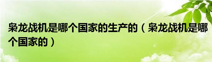 梟龍戰(zhàn)機是哪個國家的生產的（梟龍戰(zhàn)機是哪個國家的）