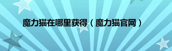 魔力貓?jiān)谀睦铽@得（魔力貓官網(wǎng)）