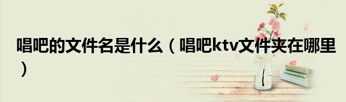 唱吧的文件名是什么（唱吧ktv文件夾在哪里）