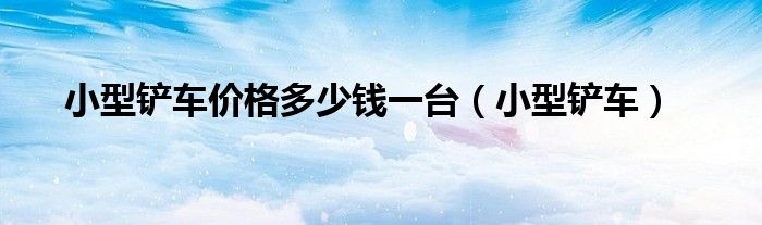 小型鏟車價格多少錢一臺（小型鏟車）