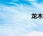 龍木閣文玩（龍木閣）