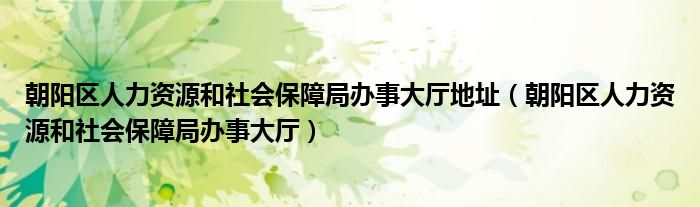朝陽區(qū)人力資源和社會保障局辦事大廳地址（朝陽區(qū)人力資源和社會保障局辦事大廳）