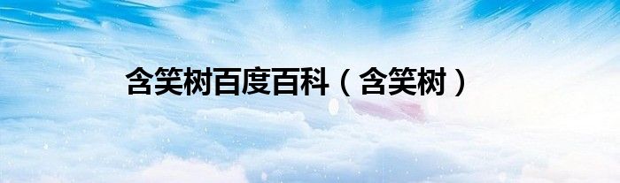 含笑樹百度百科（含笑樹）
