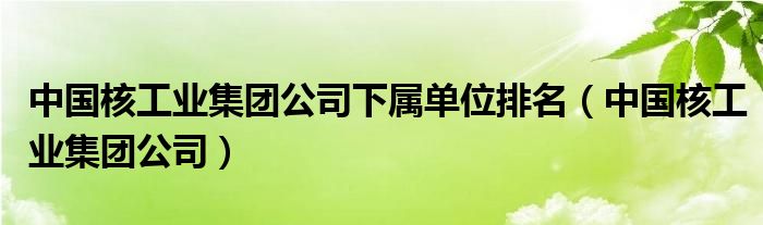 中國核工業(yè)集團(tuán)公司下屬單位排名（中國核工業(yè)集團(tuán)公司）