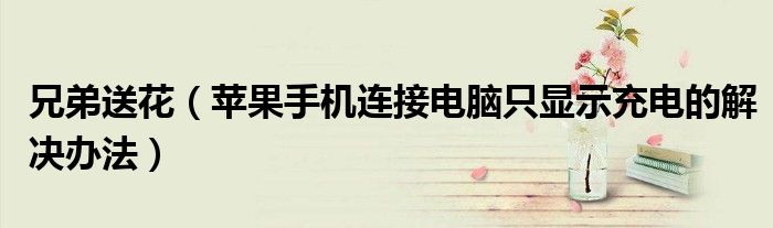 兄弟送花（蘋果手機連接電腦只顯示充電的解決辦法）