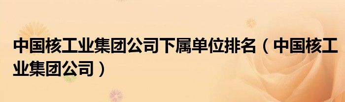 中國核工業(yè)集團公司下屬單位排名（中國核工業(yè)集團公司）