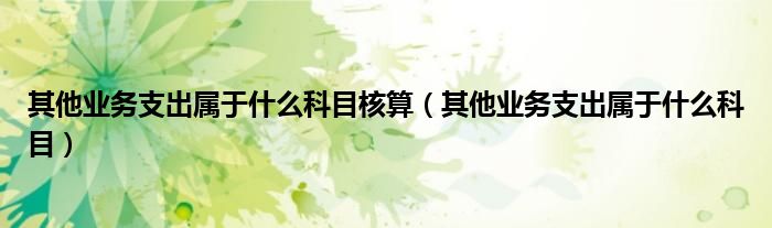 其他業(yè)務(wù)支出屬于什么科目核算（其他業(yè)務(wù)支出屬于什么科目）