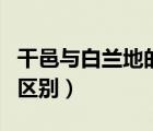 干邑與白蘭地的區(qū)別是什么（干邑和白蘭地的區(qū)別）