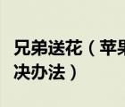 兄弟送花（蘋果手機(jī)連接電腦只顯示充電的解決辦法）