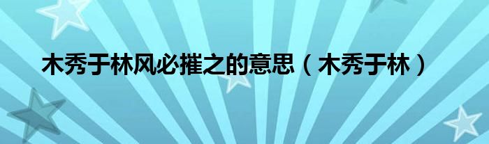 木秀于林風(fēng)必摧之的意思（木秀于林）