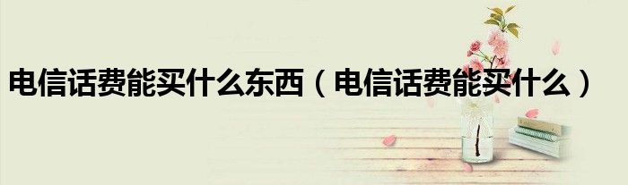 電信話費(fèi)能買什么東西（電信話費(fèi)能買什么）