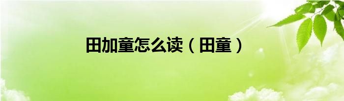 田加童怎么讀（田童）