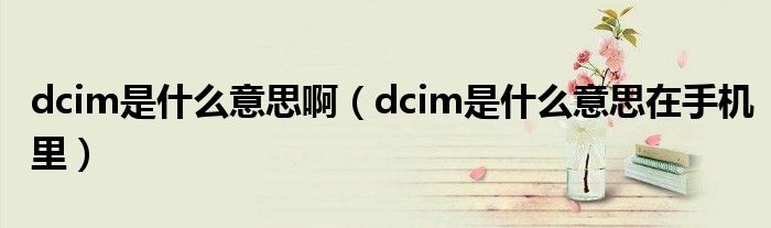 dcim是什么意思啊（dcim是什么意思在手機(jī)里）