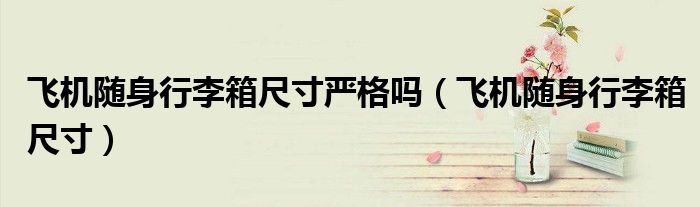 飛機隨身行李箱尺寸嚴格嗎（飛機隨身行李箱尺寸）