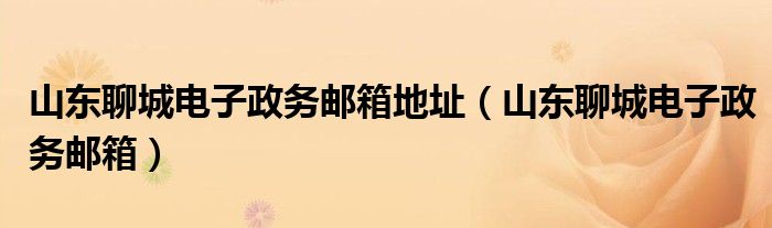 山東聊城電子政務(wù)郵箱地址（山東聊城電子政務(wù)郵箱）