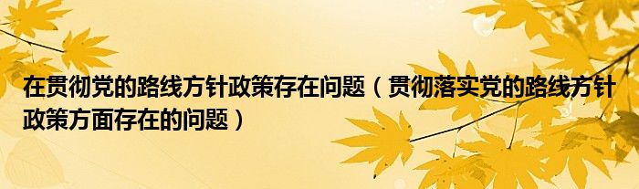 在貫徹黨的路線方針政策存在問題（貫徹落實黨的路線方針政策方面存在的問題）