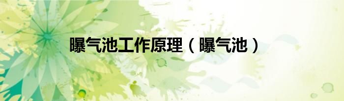 曝氣池工作原理（曝氣池）