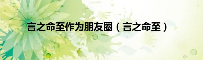 言之命至作為朋友圈（言之命至）