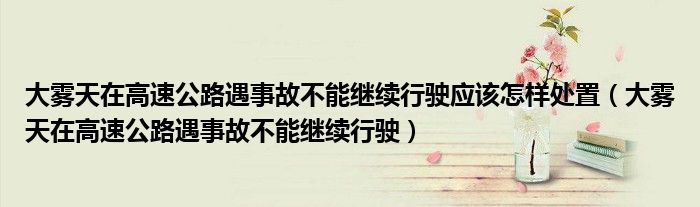 大霧天在高速公路遇事故不能繼續(xù)行駛應(yīng)該怎樣處置（大霧天在高速公路遇事故不能繼續(xù)行駛）