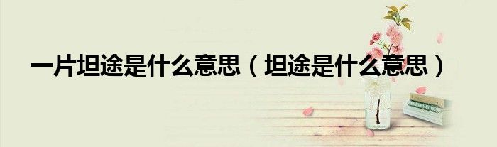 一片坦途是什么意思（坦途是什么意思）