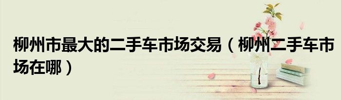 柳州市最大的二手車市場(chǎng)交易（柳州二手車市場(chǎng)在哪）