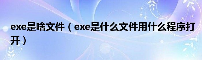 exe是啥文件（exe是什么文件用什么程序打開）