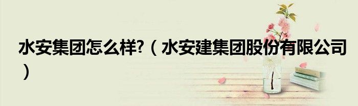水安集團(tuán)怎么樣?（水安建集團(tuán)股份有限公司）