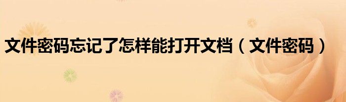 文件密碼忘記了怎樣能打開(kāi)文檔（文件密碼）