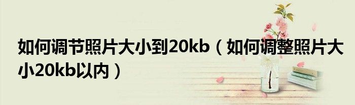 如何調(diào)節(jié)照片大小到20kb（如何調(diào)整照片大小20kb以內(nèi)）