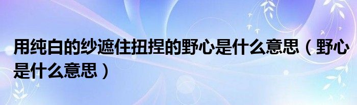 用純白的紗遮住扭捏的野心是什么意思（野心是什么意思）